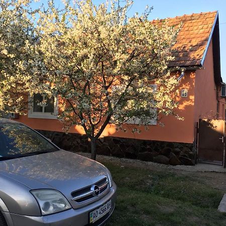 Sadyba U Mykhaila Koson Dış mekan fotoğraf
