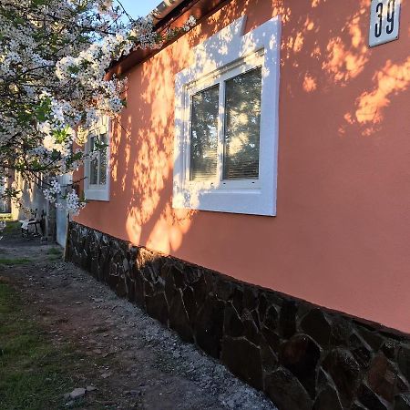 Sadyba U Mykhaila Koson Dış mekan fotoğraf