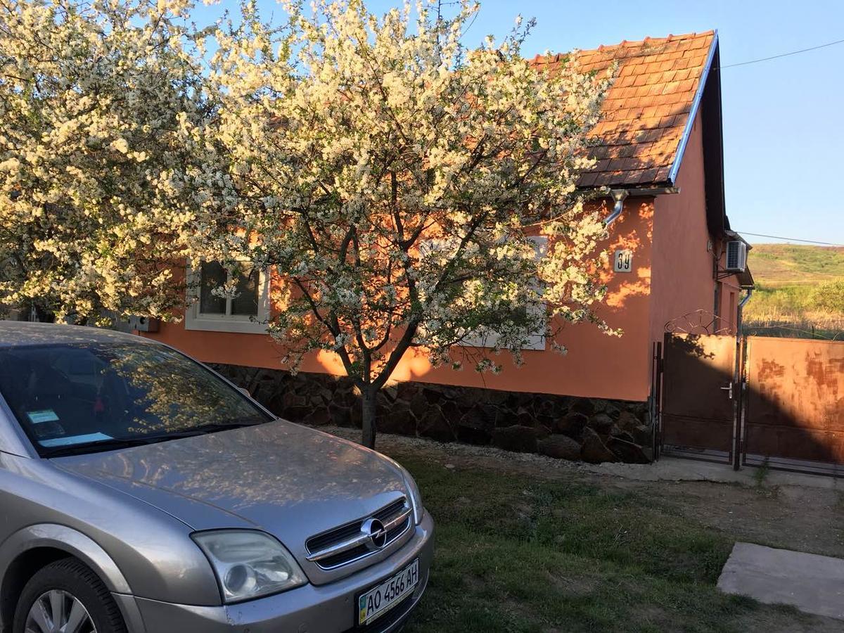 Sadyba U Mykhaila Koson Dış mekan fotoğraf