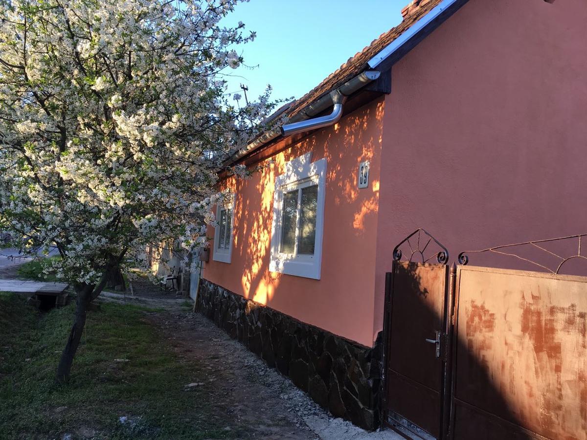 Sadyba U Mykhaila Koson Dış mekan fotoğraf